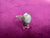 Classic Sterling Silver White Howlite Ring