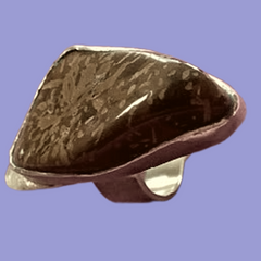 Classic Sterling Silver Jasper Ring